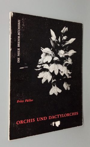 Orchis und Dactylorchis
