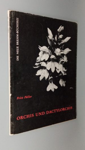 Orchis und Dactylorchis