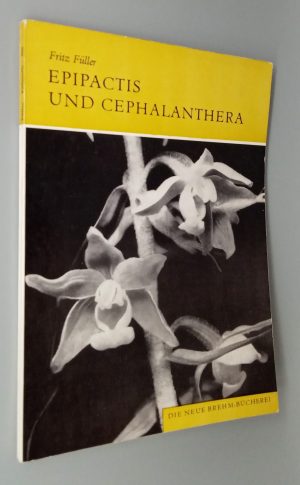 Epipactis und Cephalanthera