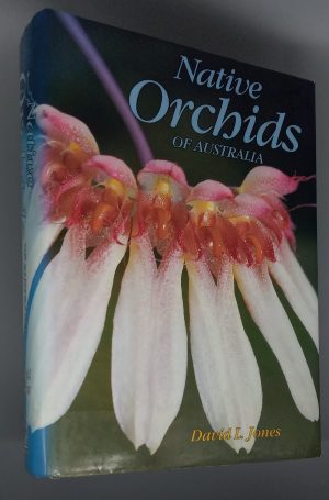 Native Orchids of Australia