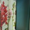 Les Orchidées Sauvages De France Et D'Europe, 2 Volume set in slipcase