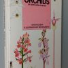 Orchids of Northern Europe
