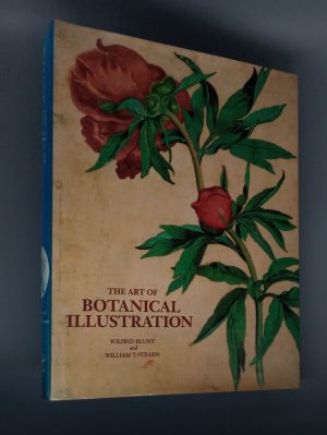 The Art of Botanical Illustration