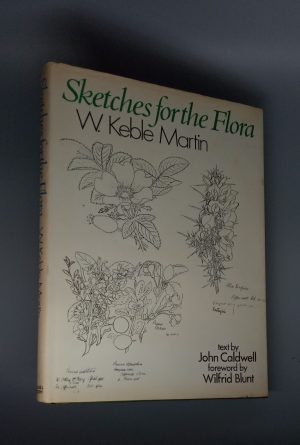 Sketches for the Flora