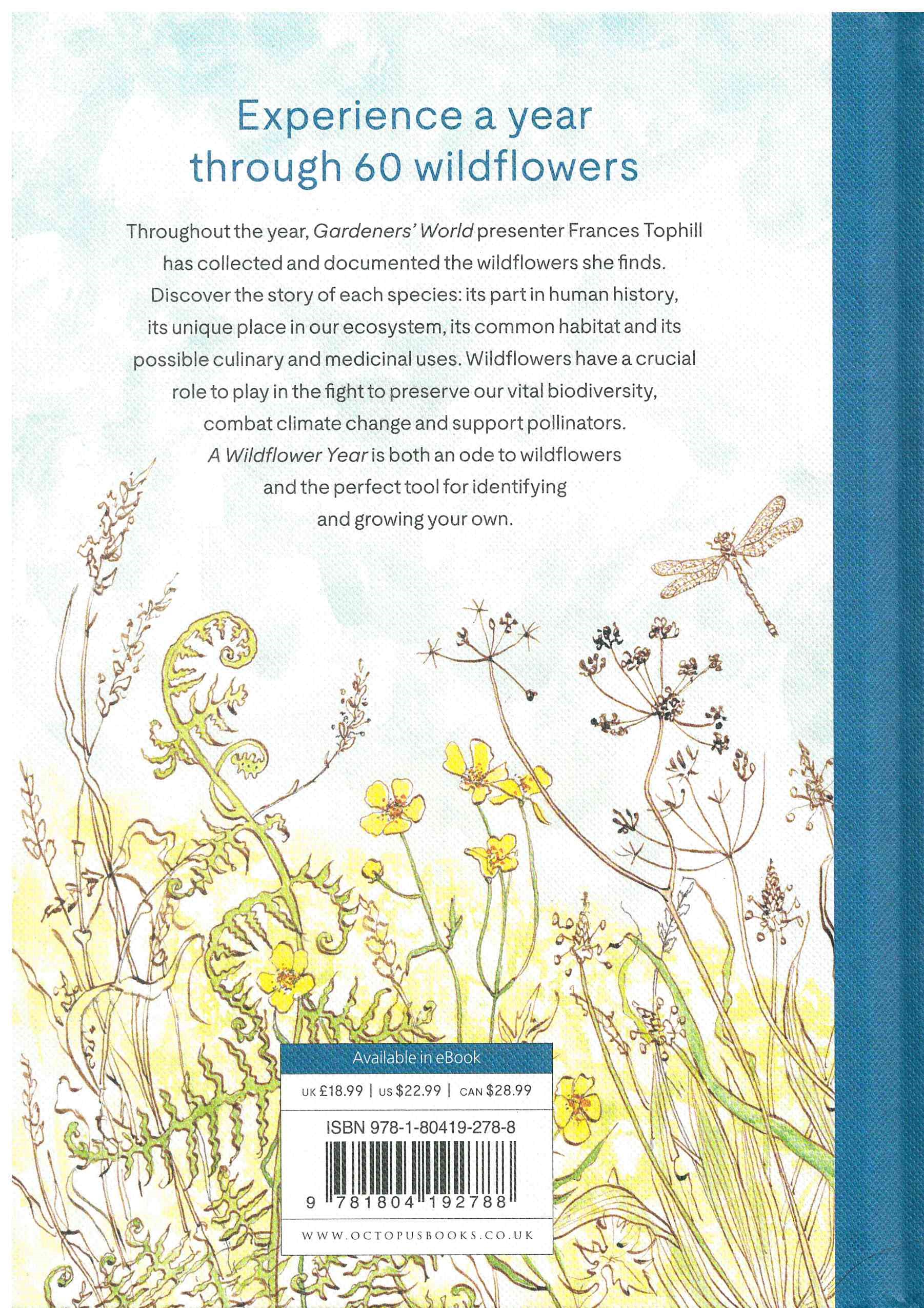 A Wildflower Year: A Guide to Wildflowers, their Habitats & Histories - Image 2
