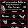 Front cover of A Photographic Guide to Prey Remains in Otter Spraint