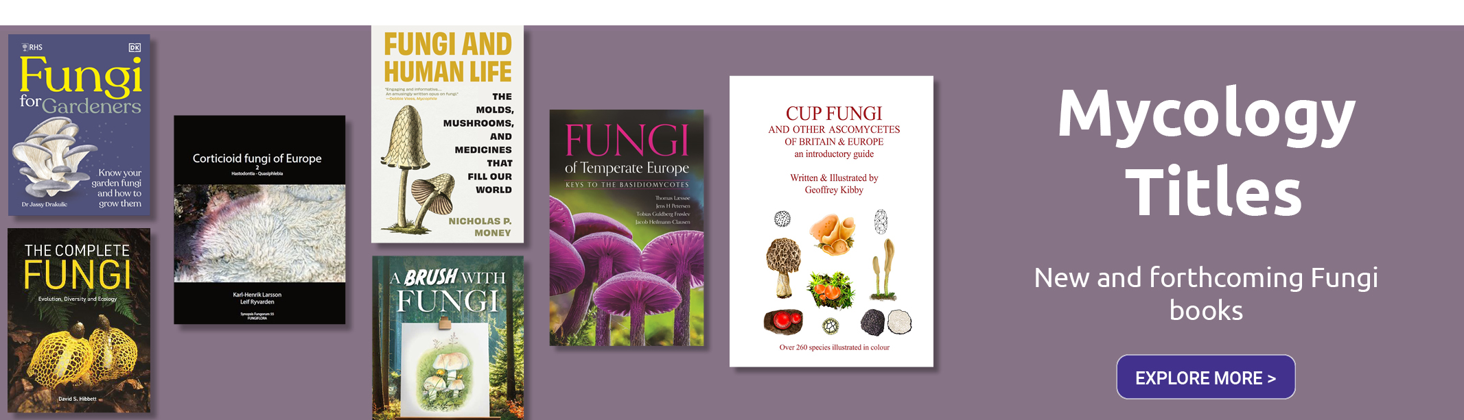 Mycology, Fungi Web banner