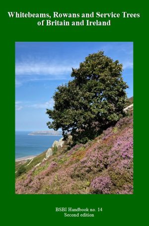 Whitebeams, Rowans and Service Trees of Britain and Ireland - (BSBI Handbook No.14): 2nd edition