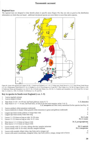 Whitebeams, Rowans and Service Trees of Britain and Ireland - 2nd edition - Image 6