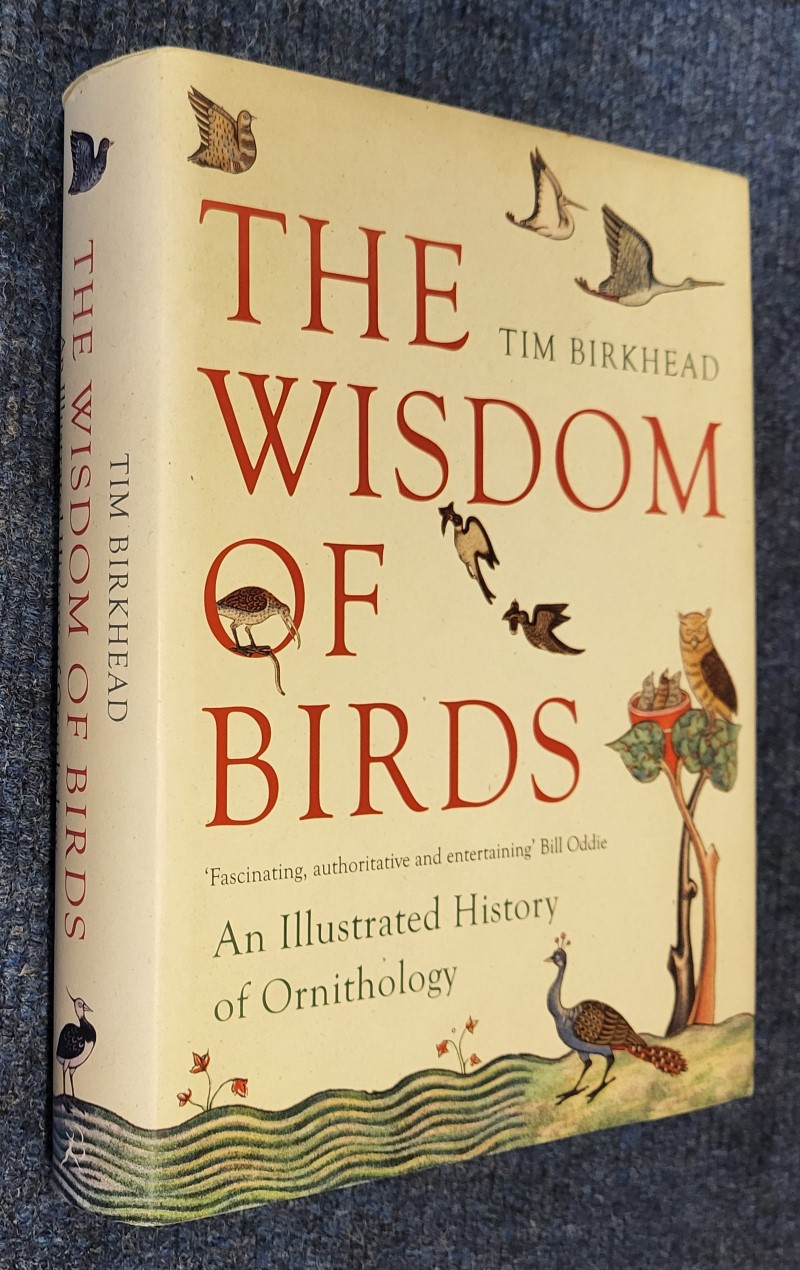 The Wisdom of Birds