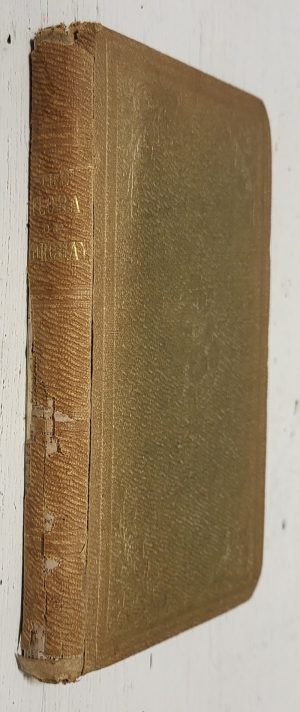 Handbook of the Torquay Flora: Comprising the flowering plants and ferns growing in and around Torquay, with their respective habitats