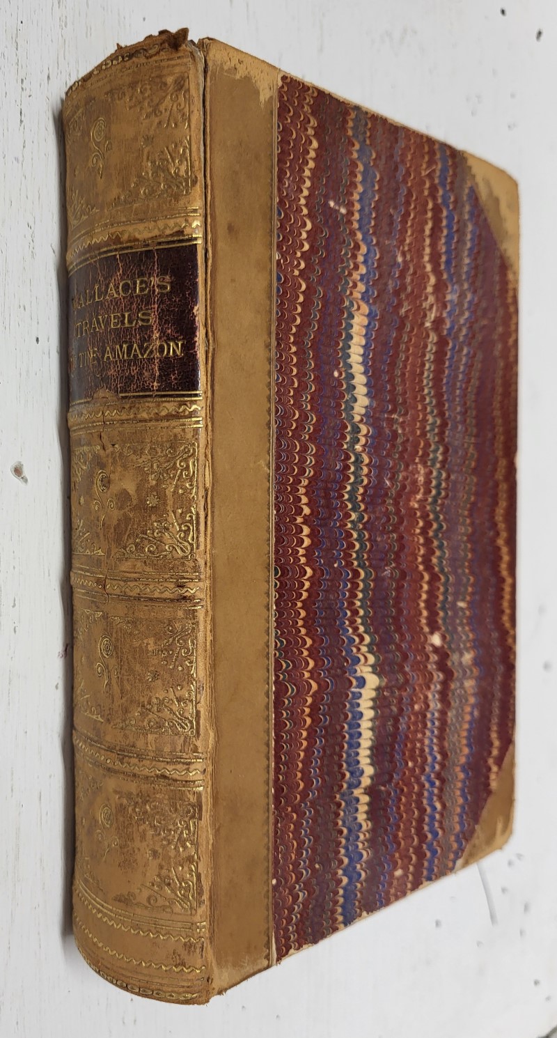 A Narrative of Travels on the Amazon and Rio Negro