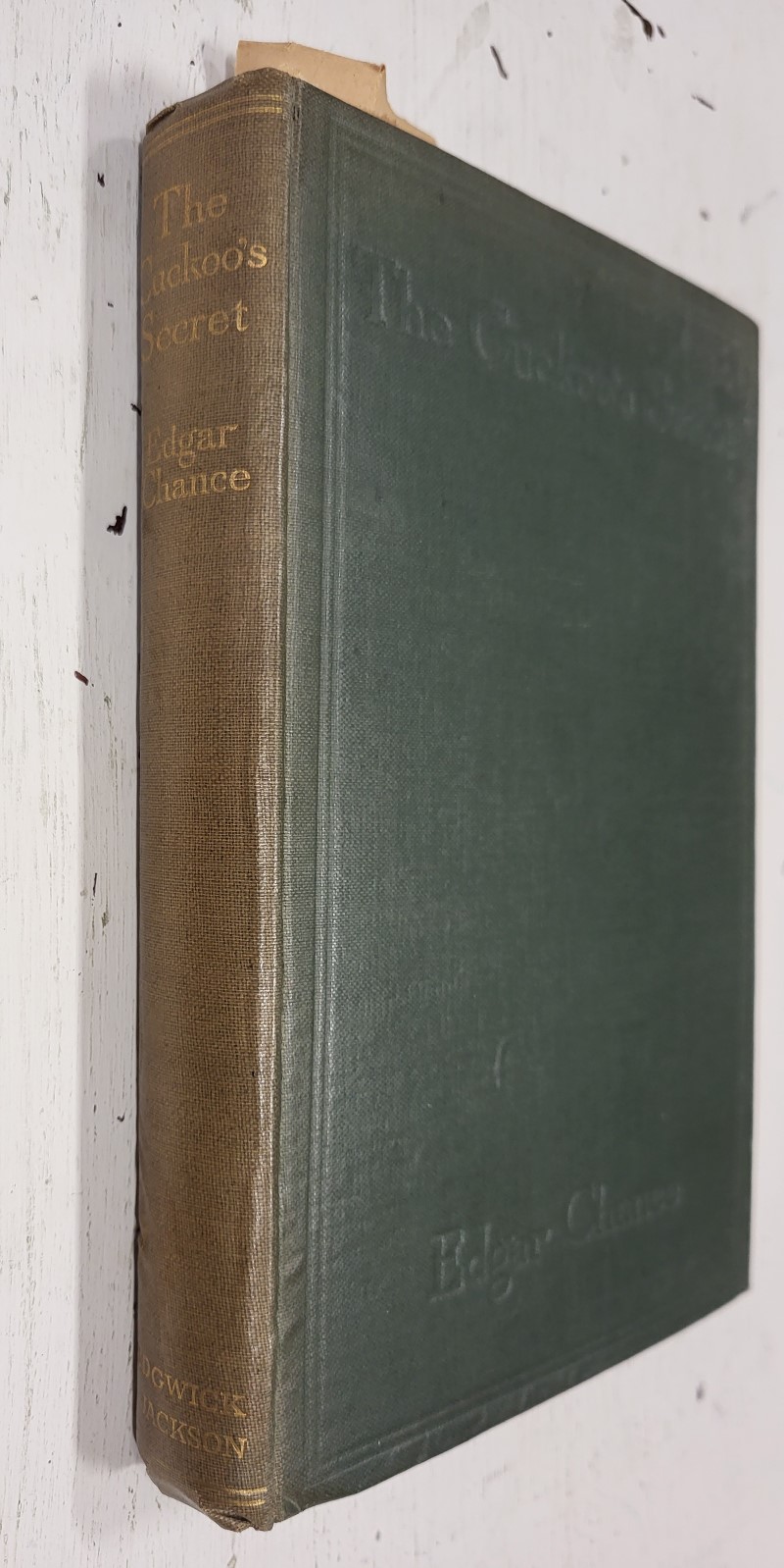 The Cuckoo's Secret