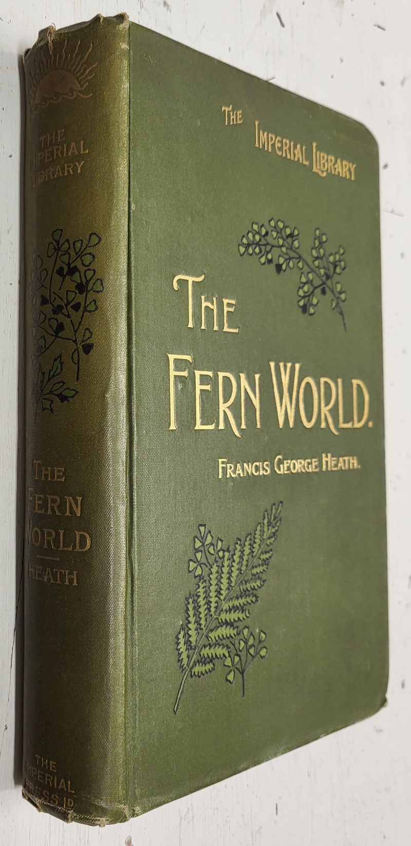 The Fern World