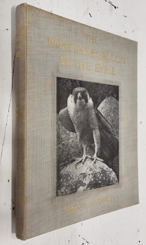 The Peregrine Falcon at the Eyrie