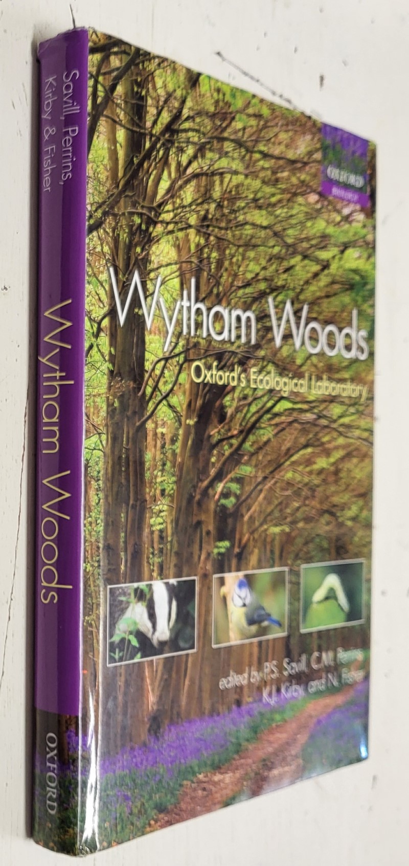 Wytham Woods