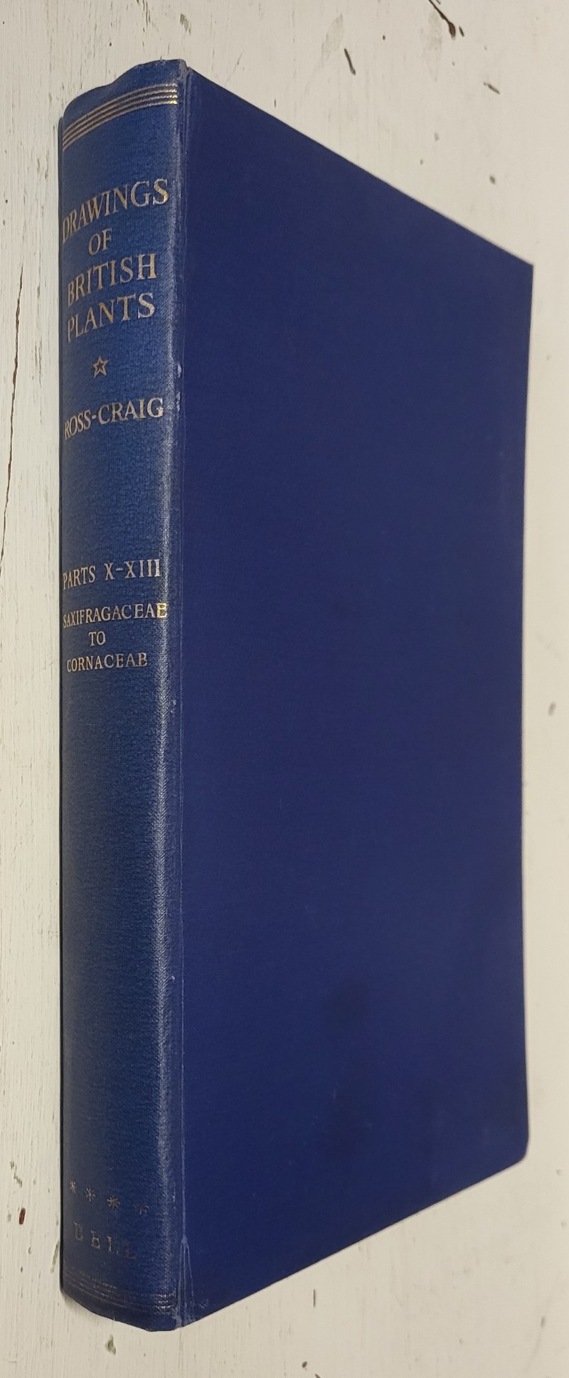 Drawings of British Plants, vol. 4 (parts x-xiii)