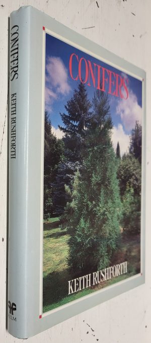 Conifers