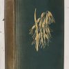 British Grasses