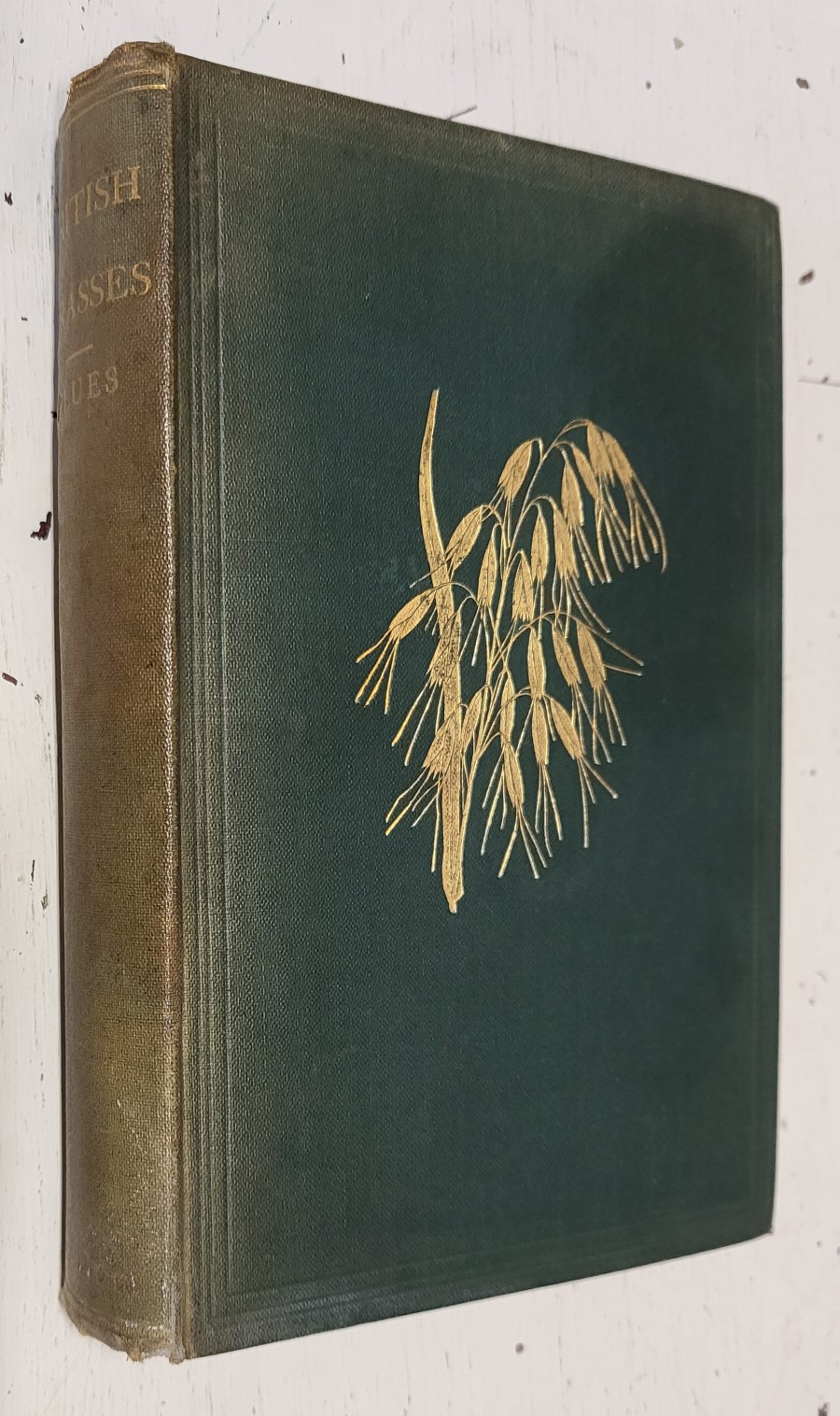 British Grasses