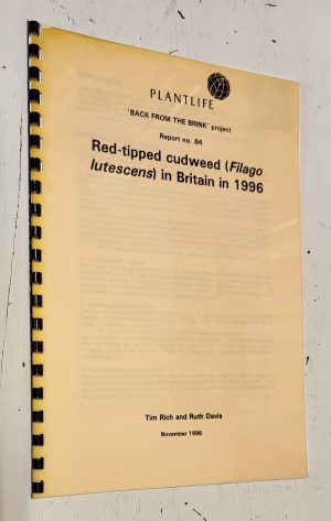 Red-tipped Cudweed (Filago lutescens) in Britain in 1996