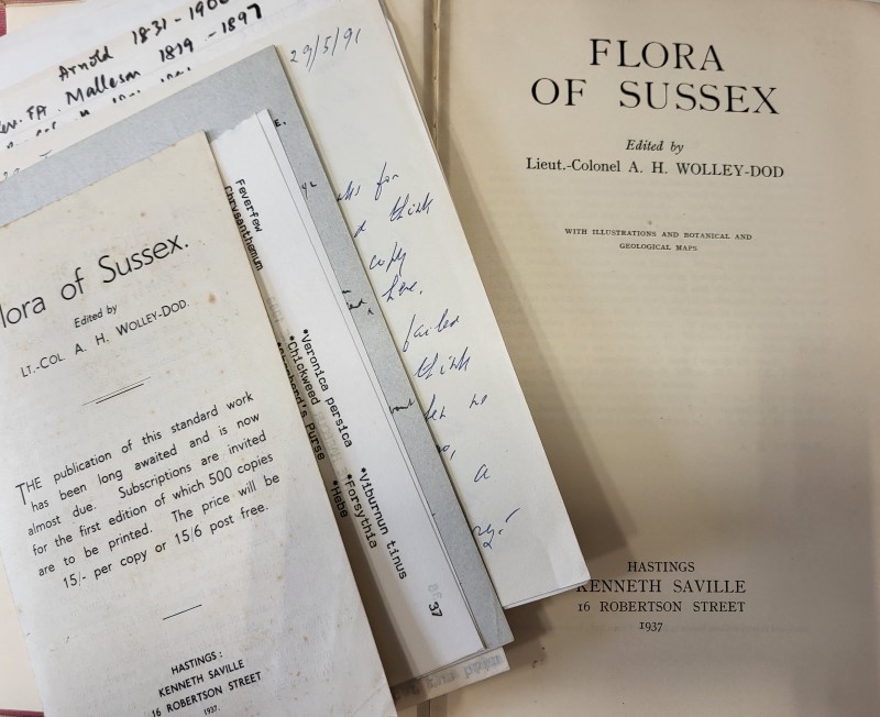 Flora of Sussex