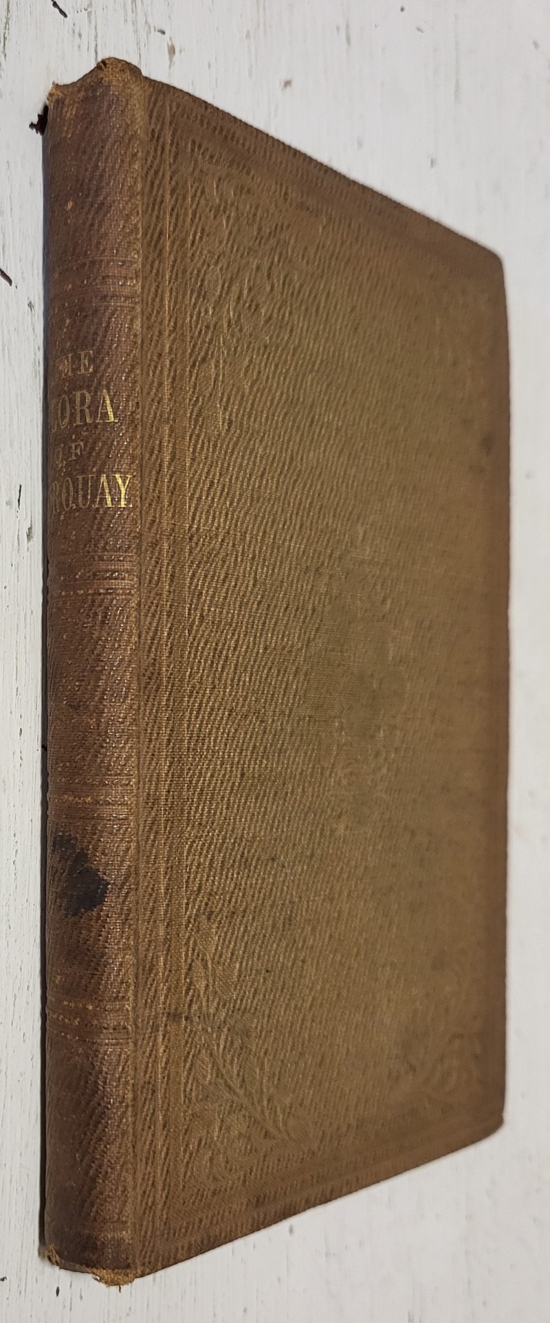 Handbook of the Torquay Flora