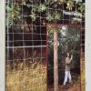 Forest Fencing; Forestry Commission Bulletin #102