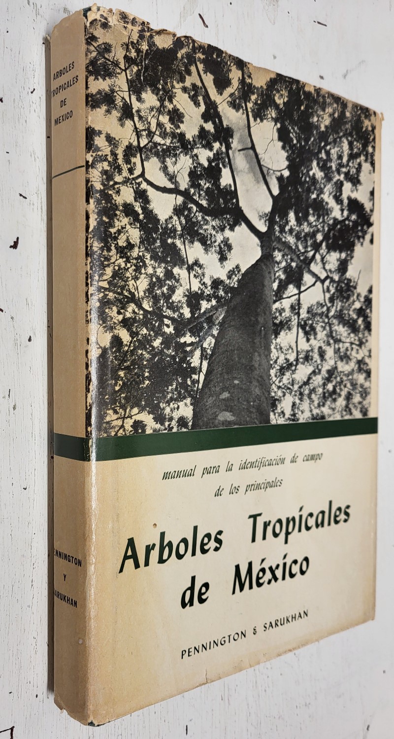 Árboles tropicales de México