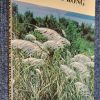 Grasses & Sedges of Hong Kong