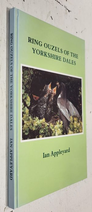 Ring Ouzels of the Yorkshire Dales