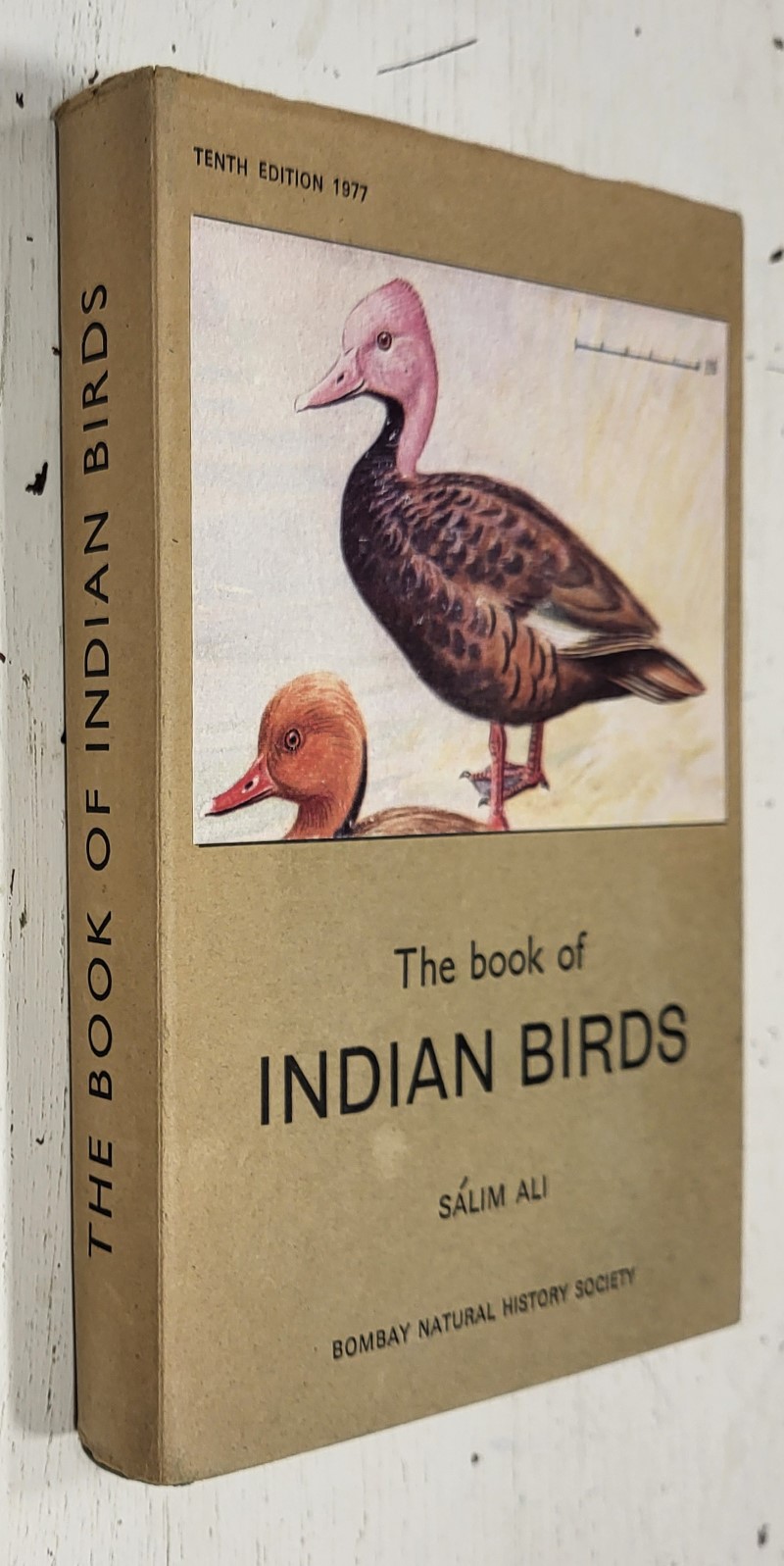 The Book of Indian Birds