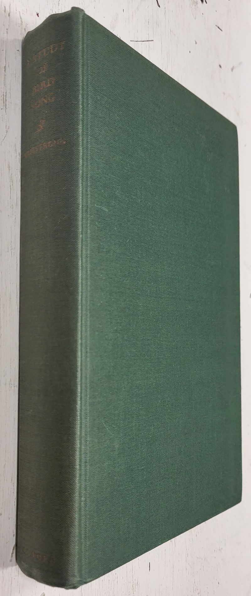 A Study of Bird Song