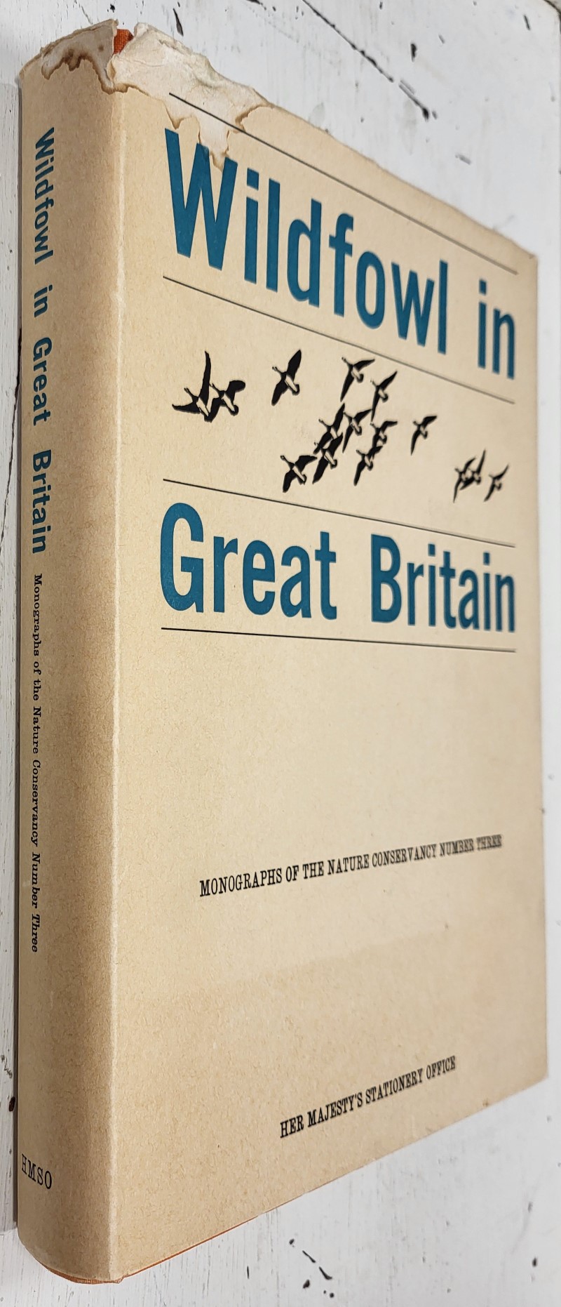 Wildfowl in Great Britain