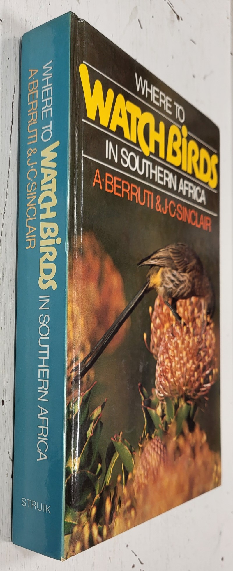 Where to Watch Birds in Southern Africa