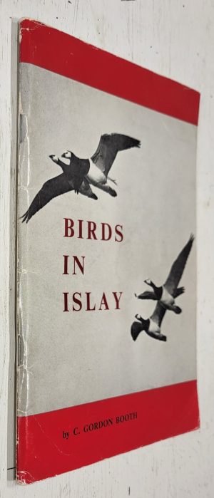 Birds in Islay