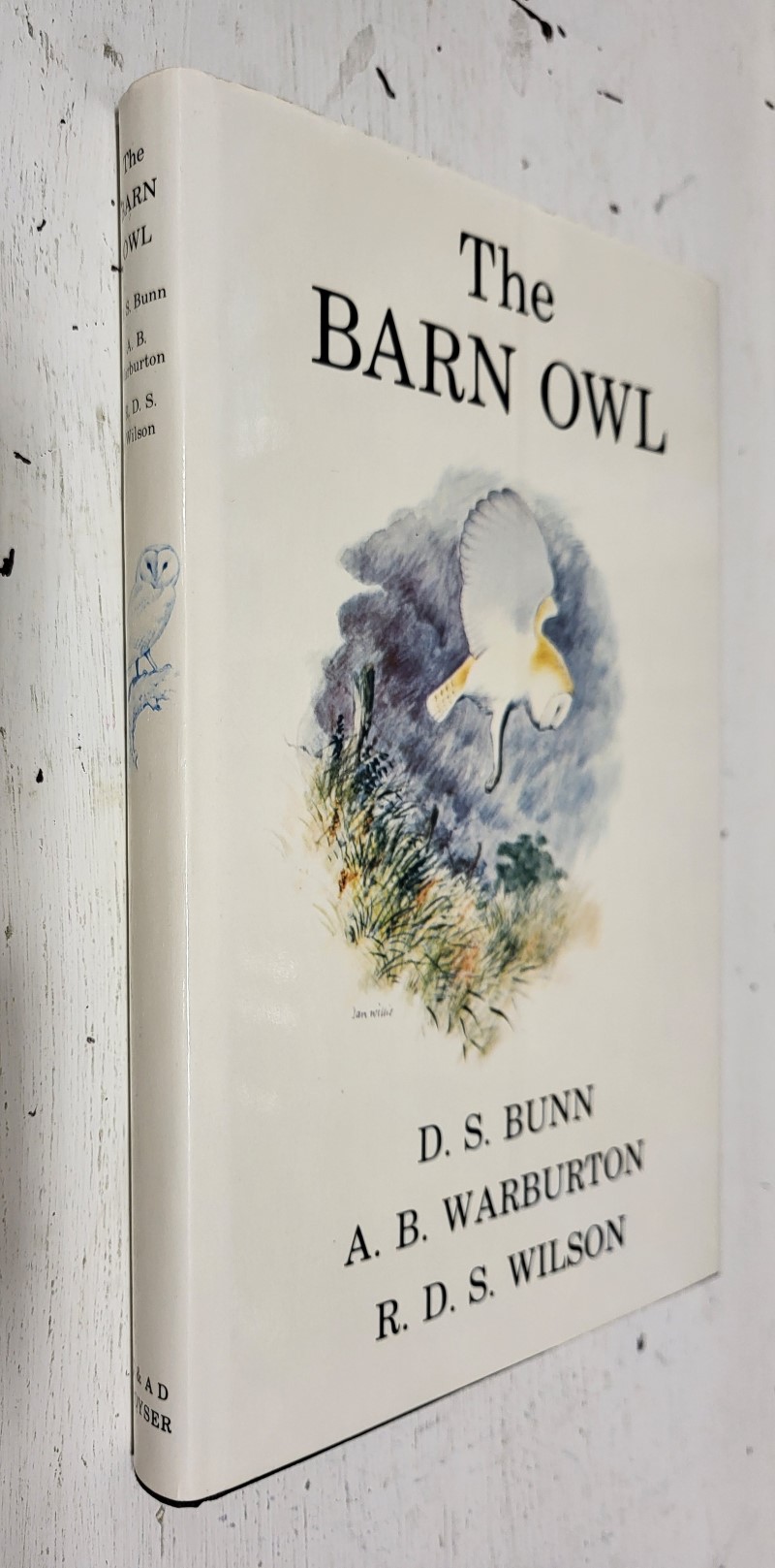 The Barn Owl
