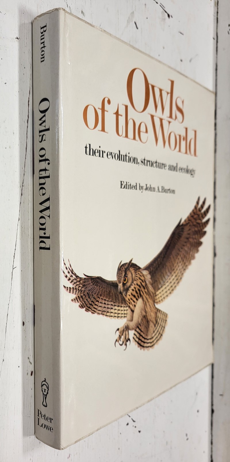 Owls of the World