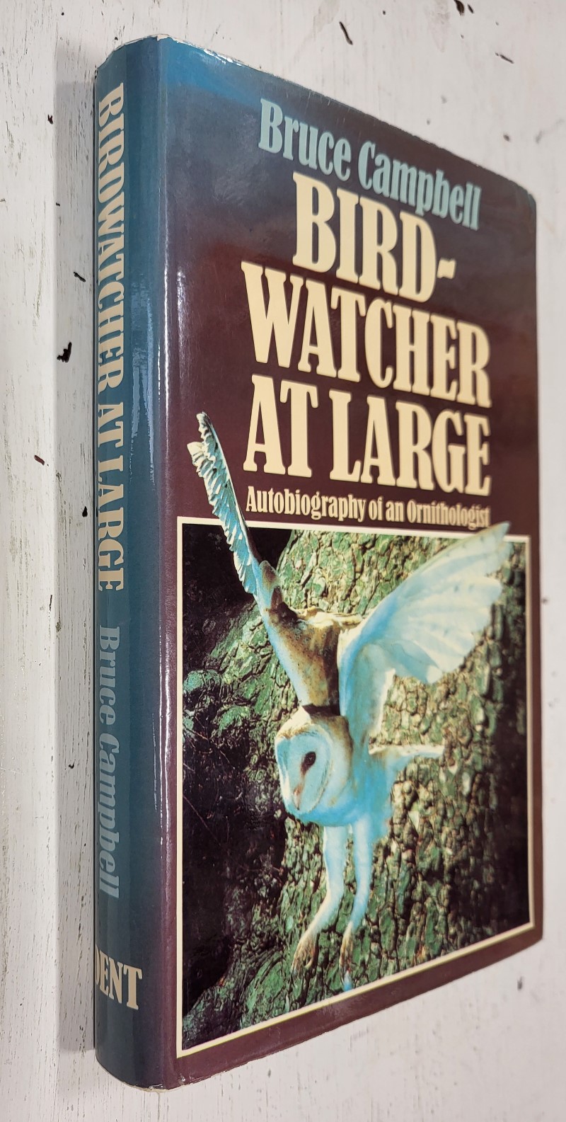 Bird-Watcher at Large