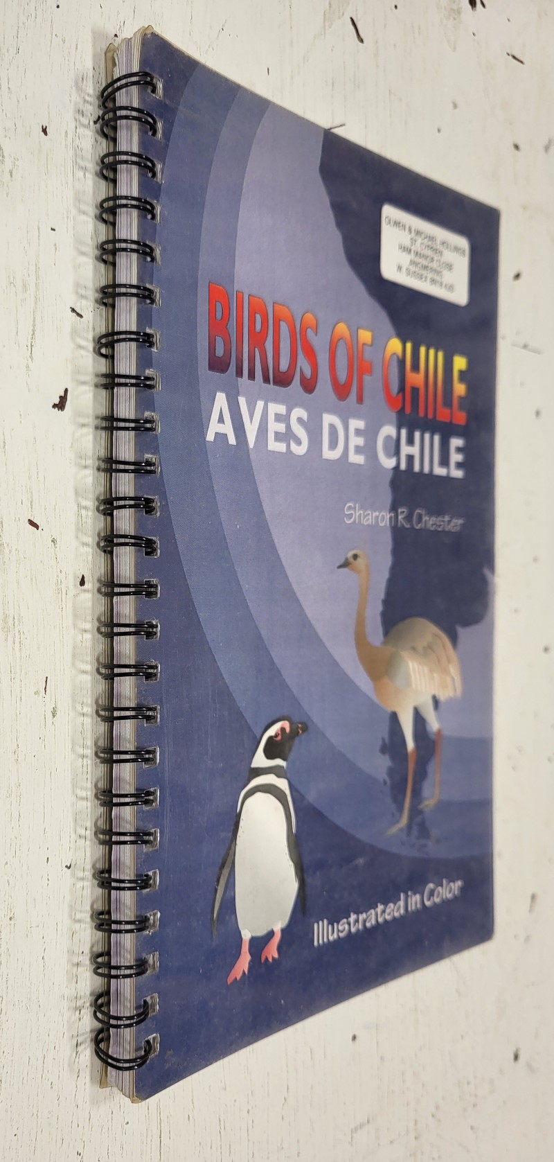 Birds of Chile