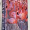 Bird Nests