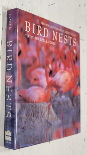 Bird Nests