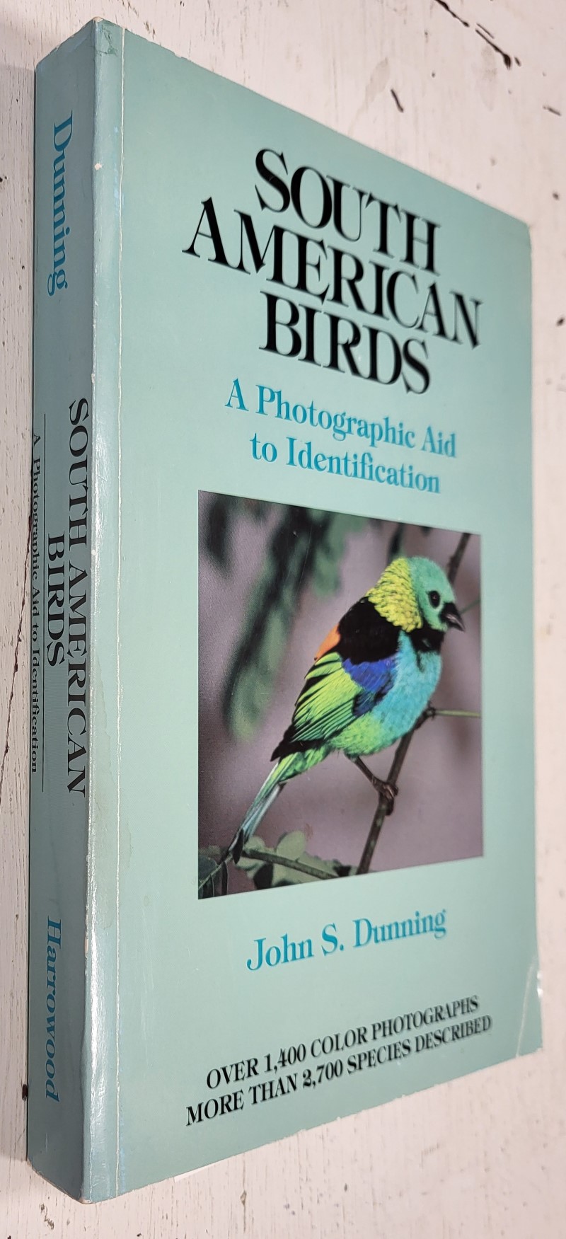 South American Birds