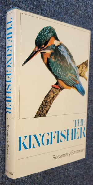 The Kingfisher