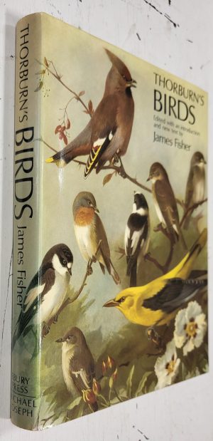 Thorburn's Birds
