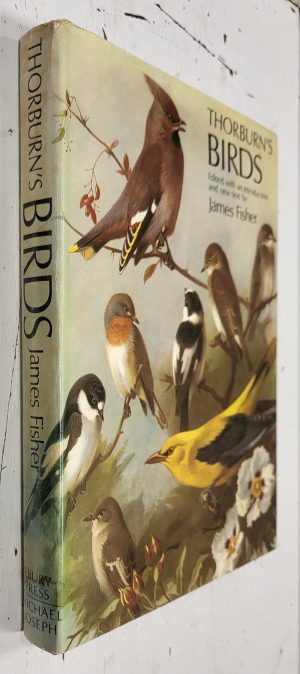 Thorburn's Birds