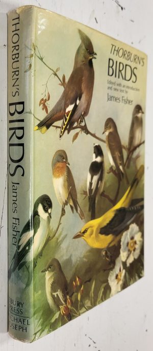 Thorburn's Birds