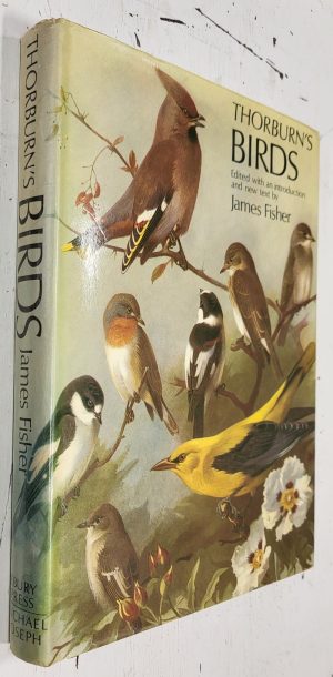Thorburn's Birds