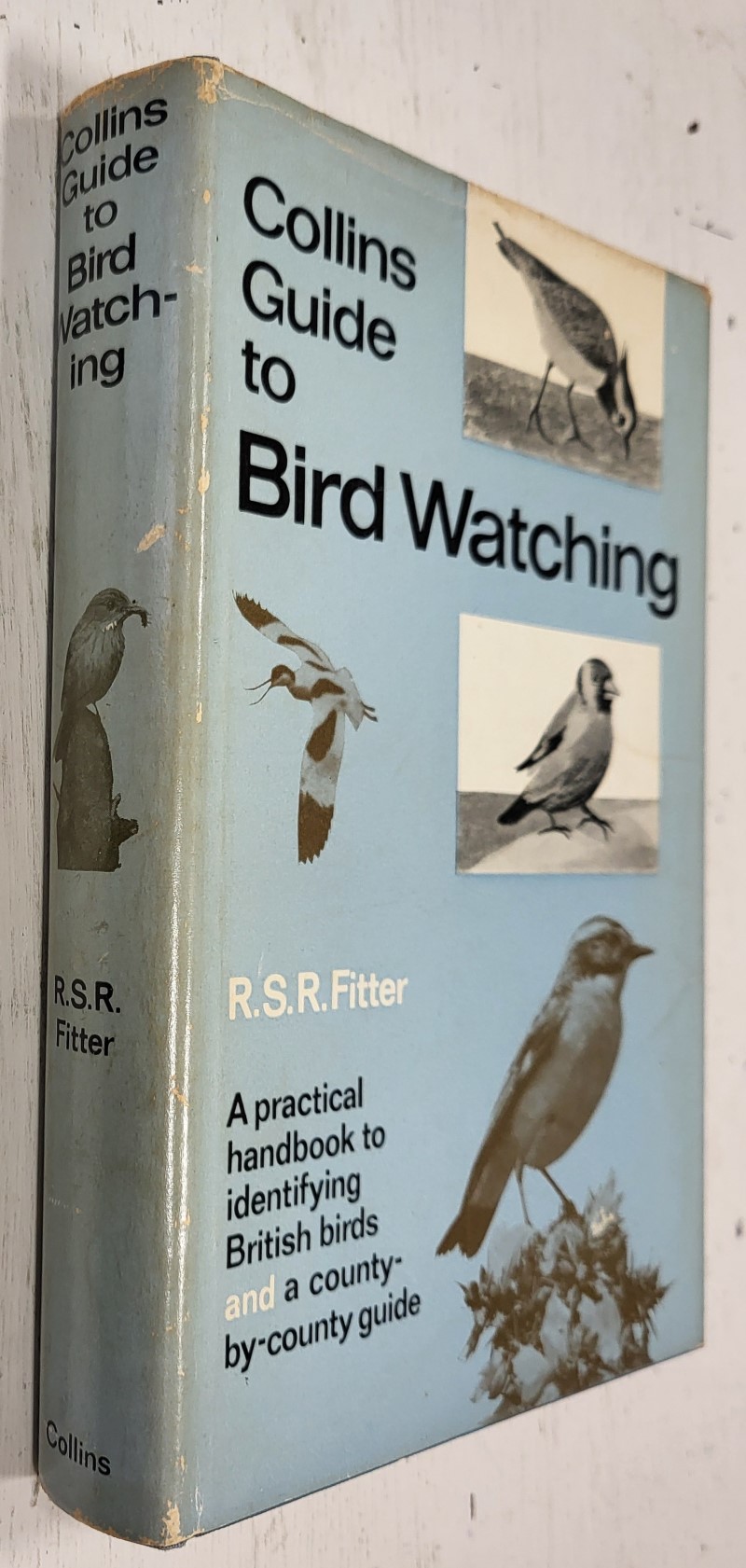 Collins Guide to Bird Watching