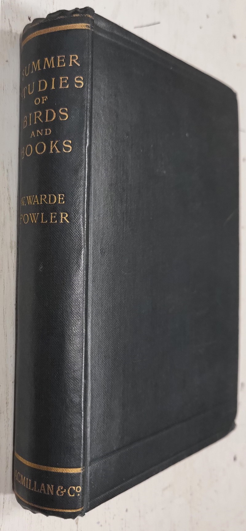 Summer Studies of Birds and Books